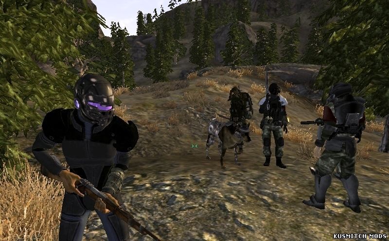 CRI Squad NV (Отряд поддержки)