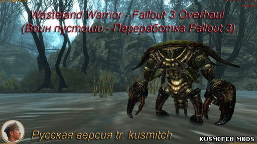Wasteland Warrior — Fallout 3 Overhaul (Воин пустоши — Переработка игры)