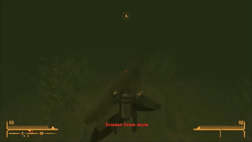 akula