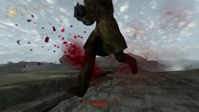 Удивительные эффекты нанесения вреда (Awesome Crippling Effects) FNV