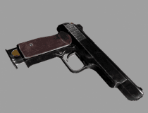 stechkin01