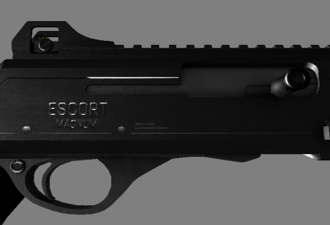 Дробовик «Эскорт-Гладиус-МПА20» (Shotgun «Escort-Gladius-MPA20»)