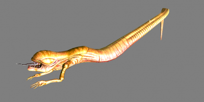 GECK 2021-03-28 03-08-05-13